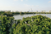 Guangzhou Ecological Belt Master Plan 