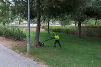 Barcelona: Inclusive employment in park maintenance