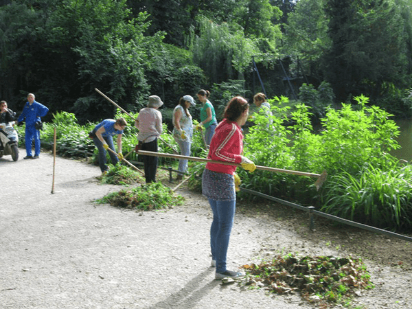 Engaging the long term unemployed by greening public spaces and through training