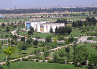 Sustainable Development of Tehran City Green Space 