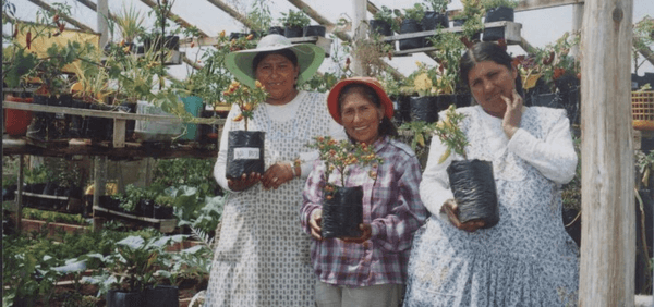 Strengthening the Women of El Alto (Bolivia) through Cultivation of Agricultural  Products