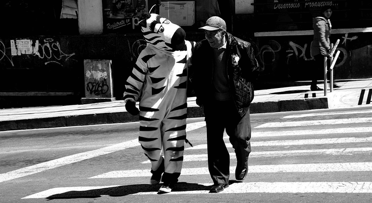 La Paz Road Zebras: A Citizen Culture Project, La Paz, Bolivia