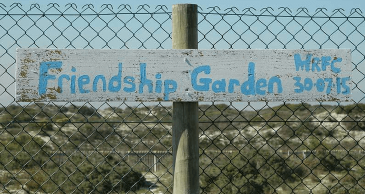 Friends and Neighbours - a community nature project, Cape Town, South Africa 