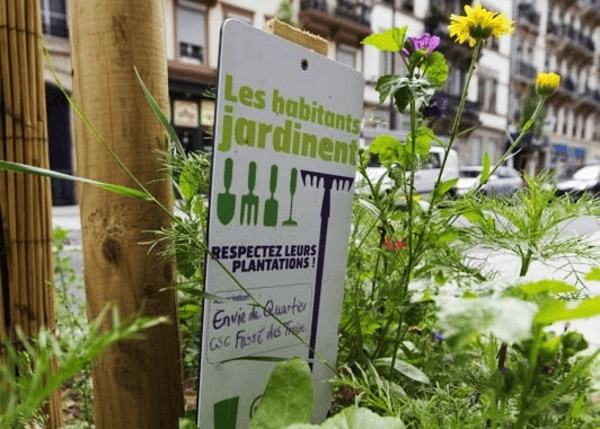 Strasbourg unites for biodiversity