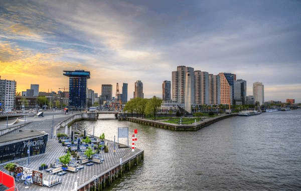 The Rotterdam Businesscase (De Rotterdamse Zaak)