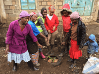 Image of women in Dandora successfully planting the first tree along the tree