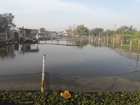 Semarang Ecodistrict: Water management-based urban planning