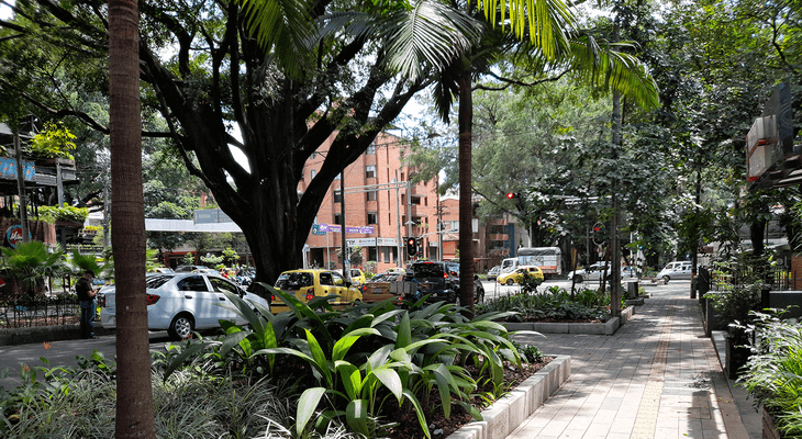 Corredor Avenida Jardín, City of Medellín