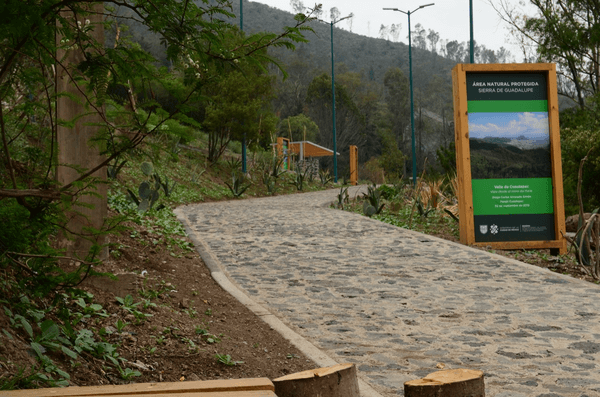 Rehabilitation of Sierra de Guadalupe Natural Protected Area