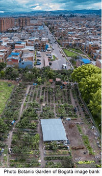 Greening Bogotá