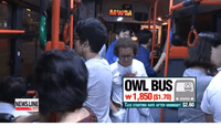 Owl Bus